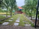 Invest Smart – Premium Farmhouse Plot in Fast-Developing Raipur