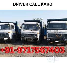 20 Tipper Driver Required
