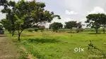 Clear Title Plots Sale in Shikrapur
