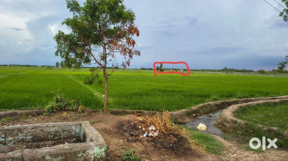 குமாரம்-நகரி மெயின் ரோட்டில் பிள்ளையார்நத்தம் ஊரில்