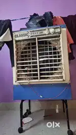 Cooler hai