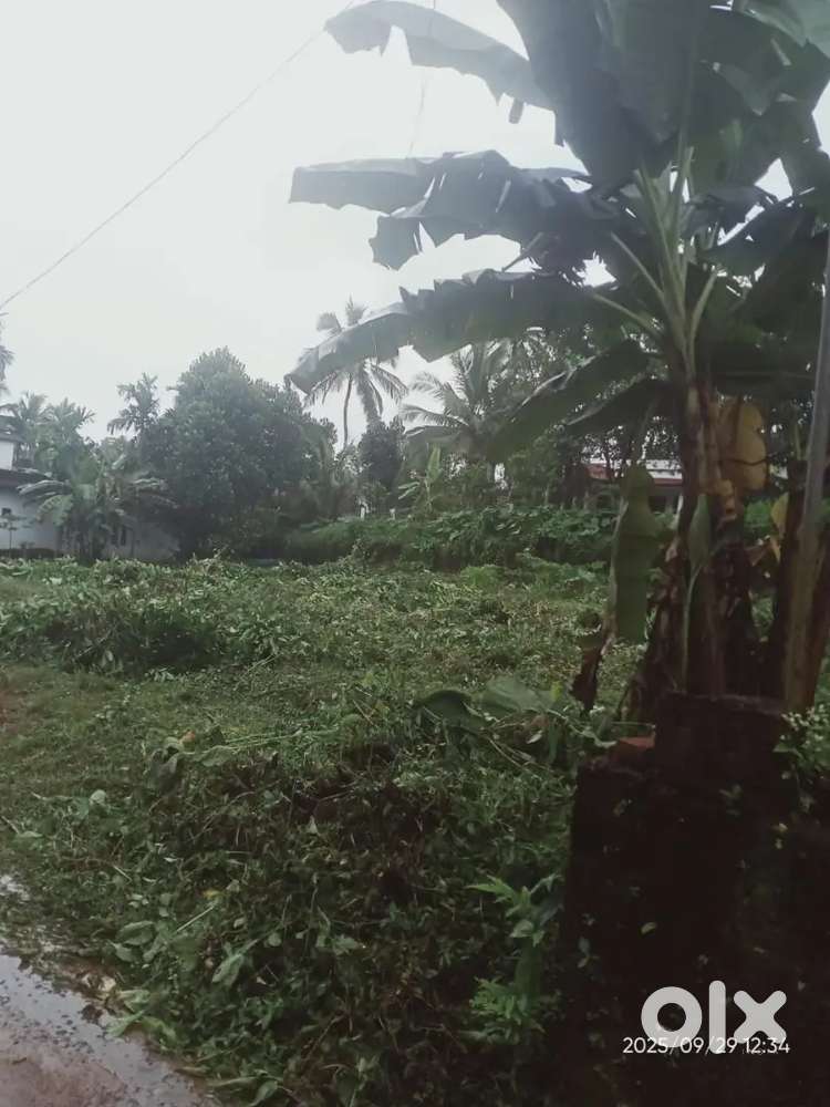 Housing plot