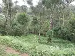5 cent square plot