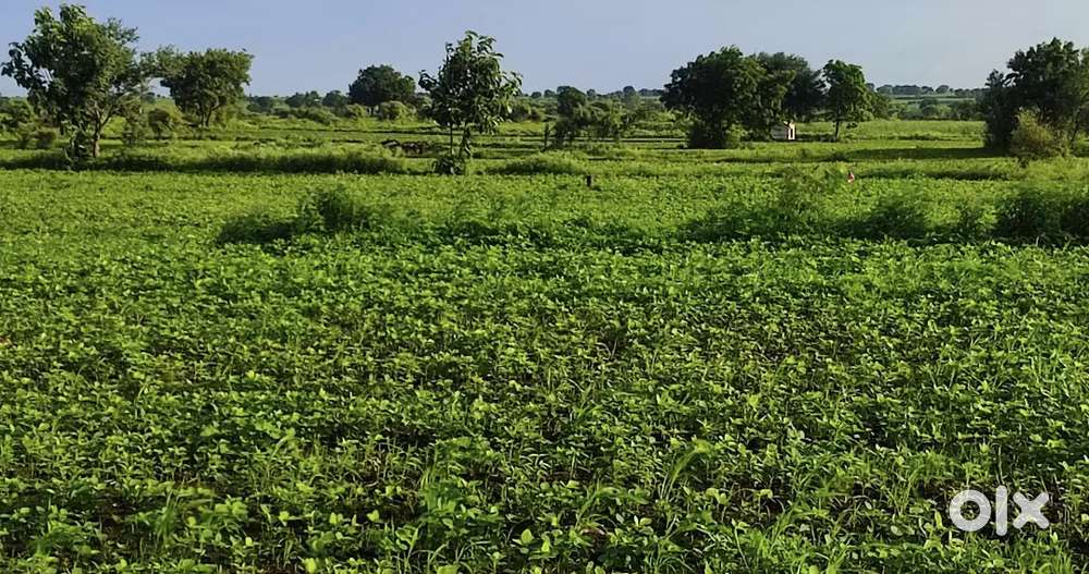 3.8 acre form land for sale