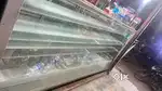 Display Freezer (6 ft × 2.5 ft)