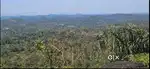 80 Acre Coffee Estate for Sale – Coorg–Sakleshpur Border (Near Sha