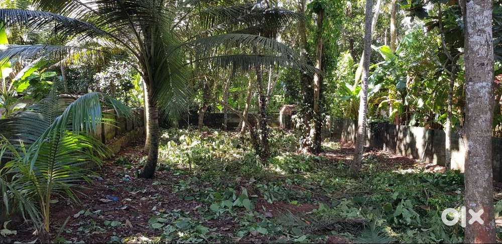 PLOT FOR SALE