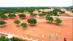 Plots for Sale