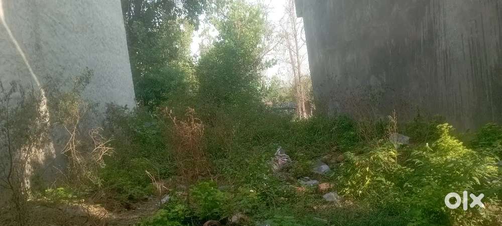 800sqft plot for sale Extension sahithpath +9299