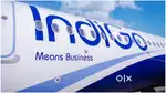 Opening for ground staff airport job.