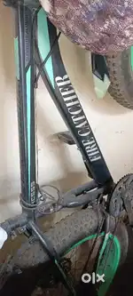 Fat tyre cycle