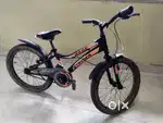 Stryder cycle