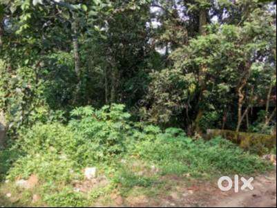 5 Cent Tipper Lory Plot for sale near Ooruttambalam