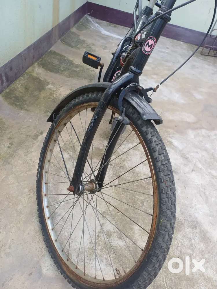 Milton bicycle