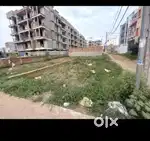Danapur gola road
