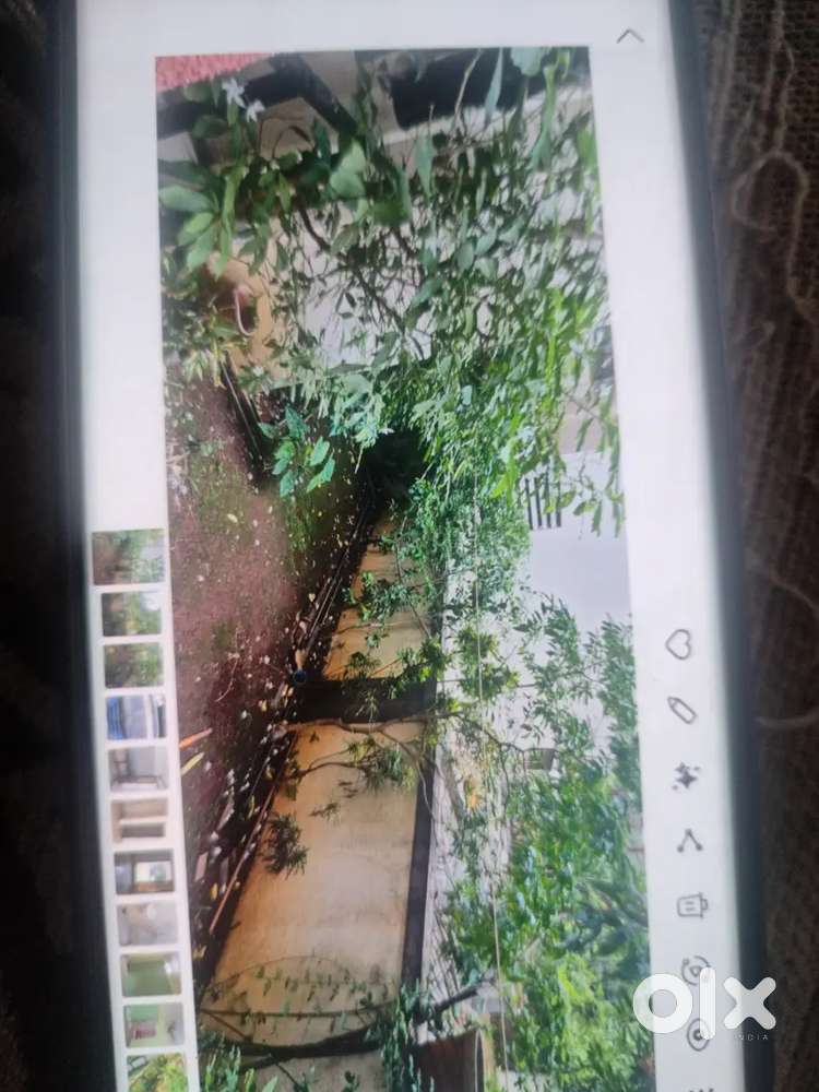Garden flat for sell