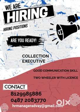Collection executive