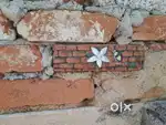 Wall decoration