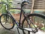 Mach City Cycle