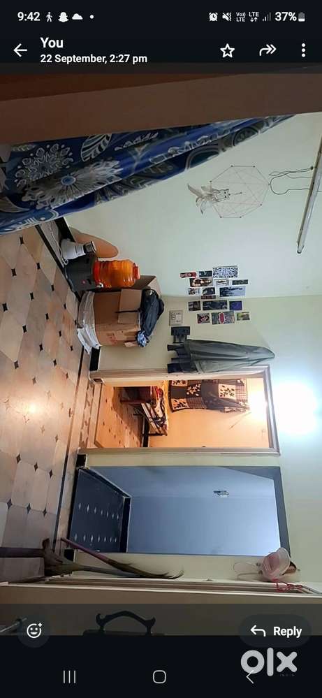 need 1 roomate [only female)