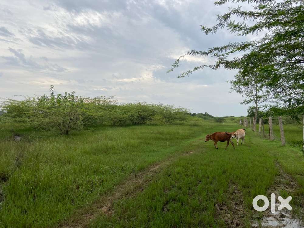 Land for sale near bypass