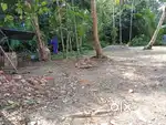 3.5 cent plot for Sale, NEAR Lake Shore Hospital Kochi,