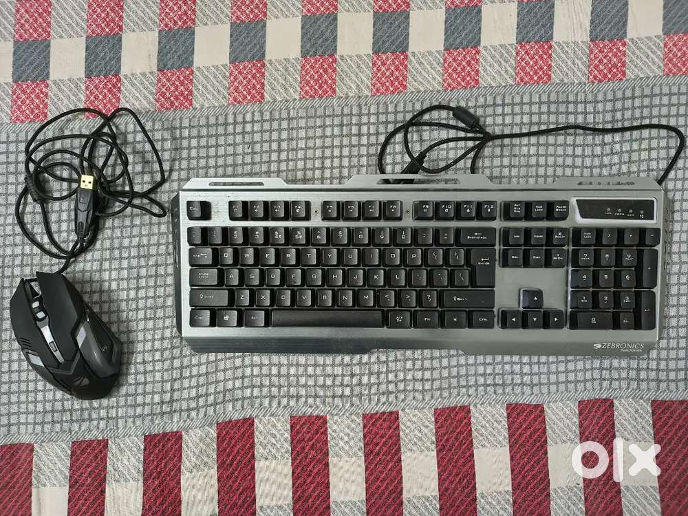 Zebronics Keyboard & Mouse