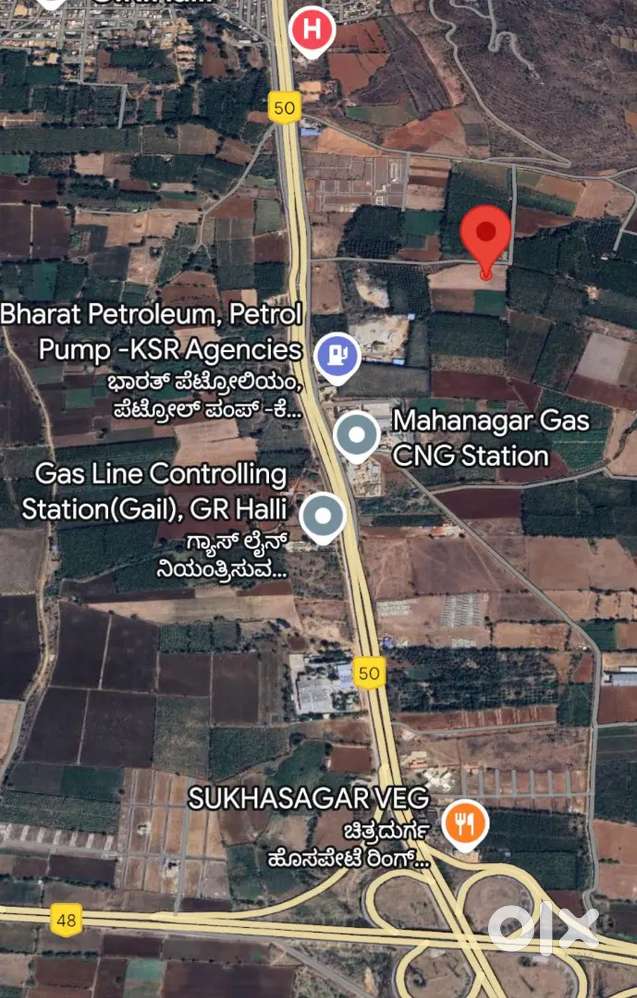 GR halli 250 meters from service road 3.5 acres agriculture land