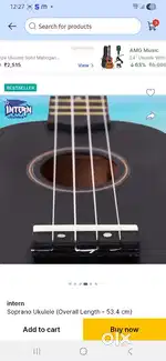 Ukelele brand new
