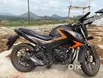 Honda hornet