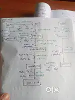 Presentation working