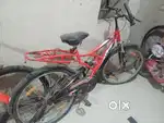 above 12 age
