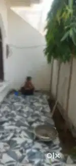 New furnished Home for rent only for couple family