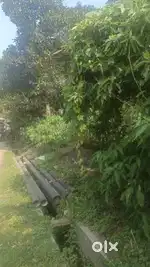 1Bigha to 5 Bigha Agriculture Land for sale near NH -117 Diamond Harbo