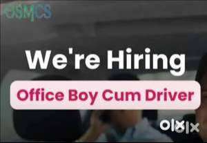 Office Computer Operator cum Driver