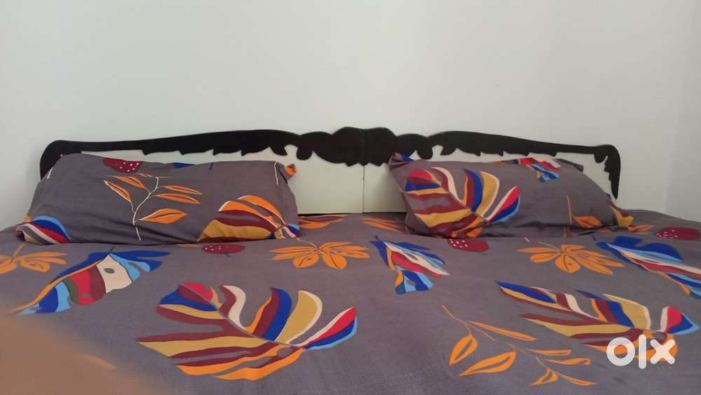 1 BHK flat for college student