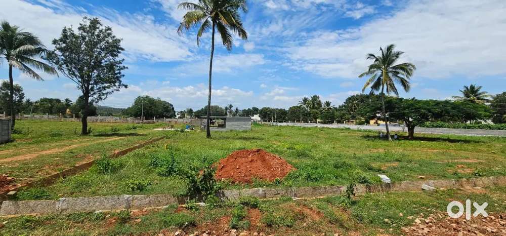 Plots for sale Davanahalli ivc road