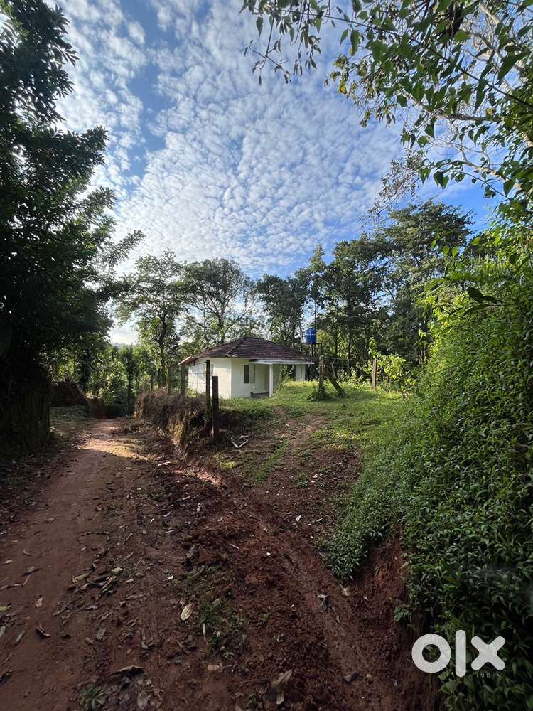 House with Land for Sale 17 Cents , Muthireri