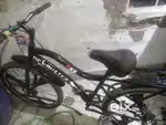 मेरी साइकिल कला घोड़ा है