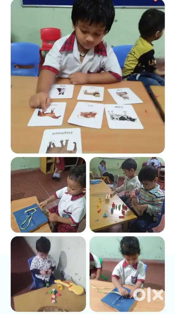 Primary teacher
