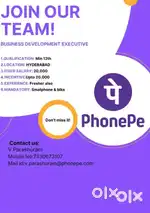 Business developer executive