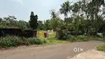 Square land for sale