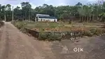 House plot വിൽപ്പനക്ക്... Muttuchira.