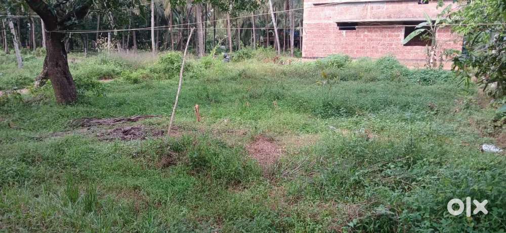 ₹2,25,000 Residential plot for sale.