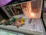 Whirlpool Refrigerator