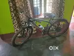 Roadeo Bicycle
