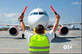 All Staff Hiring cabin crew Air hostess passport checking helper, Driver etc hiring urgent Superviso...