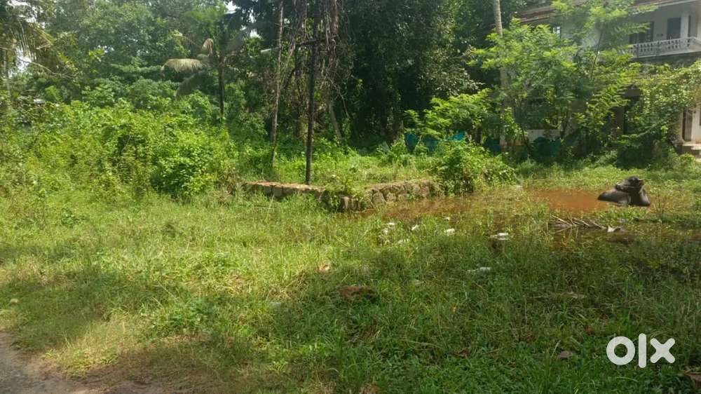 Land for sale near highway