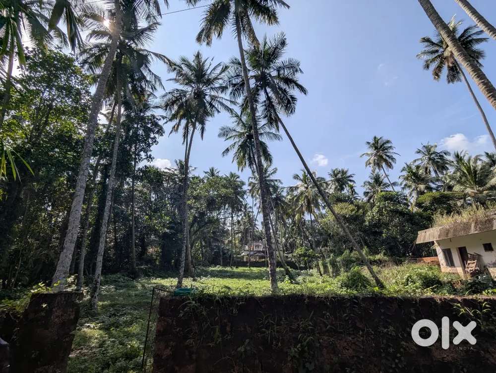 33 cent for sale near kottakkal town