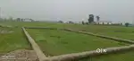 Registered plot available for sale
